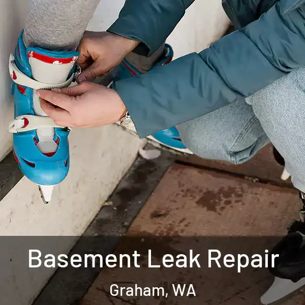  Basement Leak Repair Graham, WA