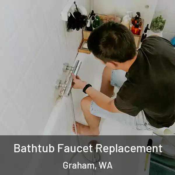  Bathtub Faucet Replacement Graham, WA
