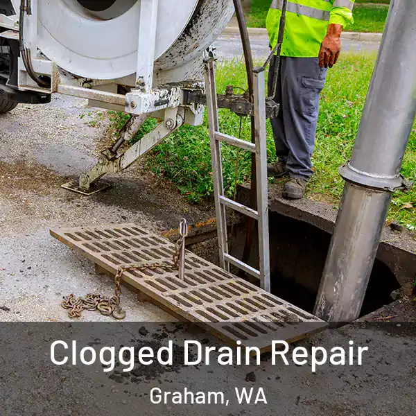  Clogged Drain Repair Graham, WA