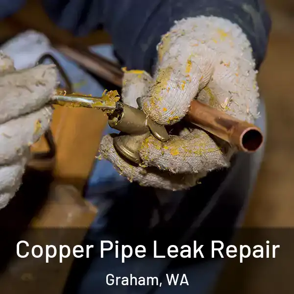  Copper Pipe Leak Repair Graham, WA