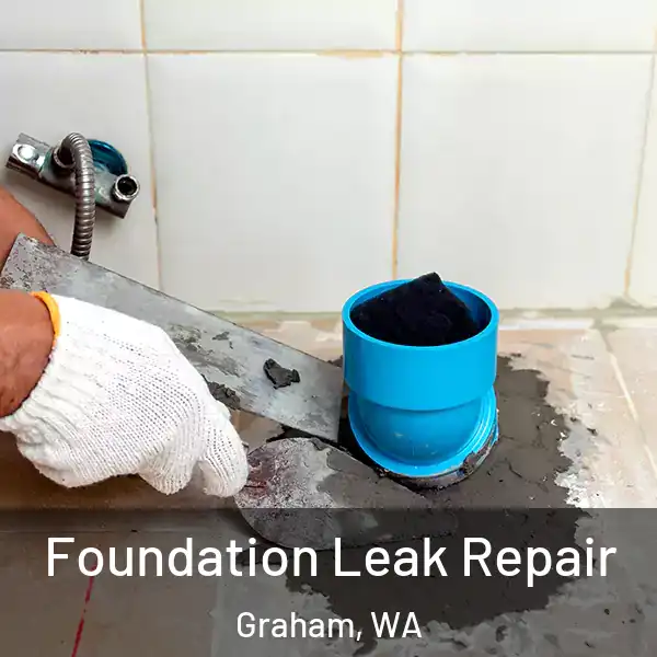 Foundation Leak Repair Graham, WA