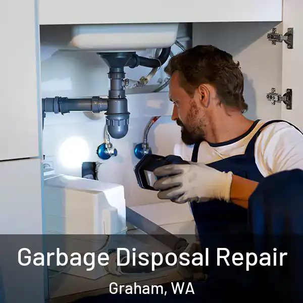  Garbage Disposal Repair Graham, WA