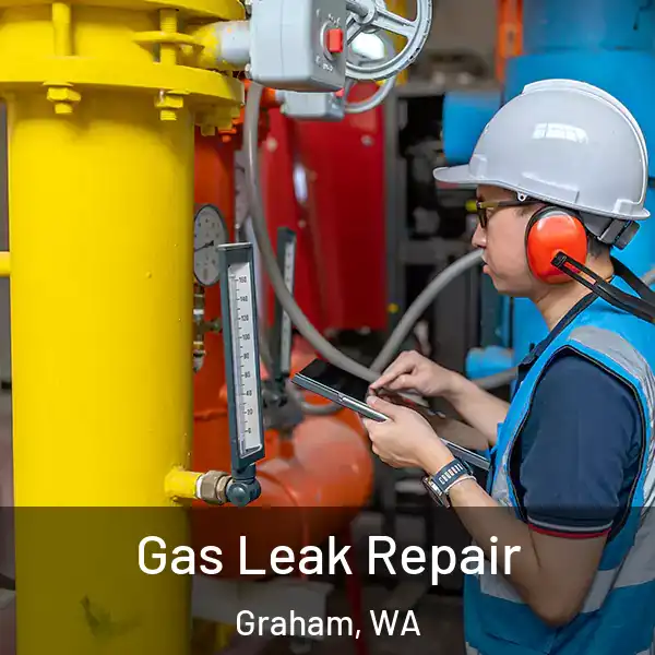  Gas Leak Repair Graham, WA