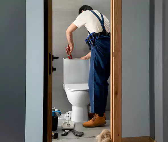 Professional Plumbers for Toilet Bowl Replacement in Graham, WA: Schedule Affordable Toilet Replacement Services With Us