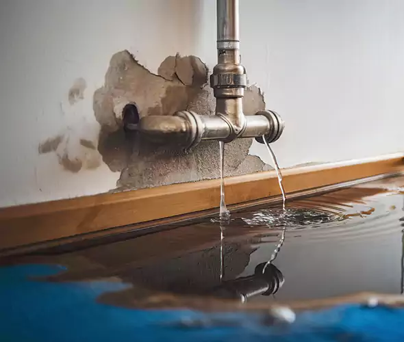 Professional Water Damage Restoration Experts in Graham, WA — Fast, Reliable & Certified