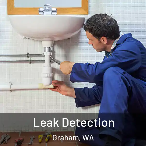  Leak Detection Graham, WA
