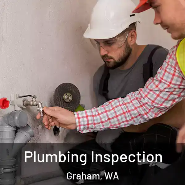  Plumbing Inspection Graham, WA