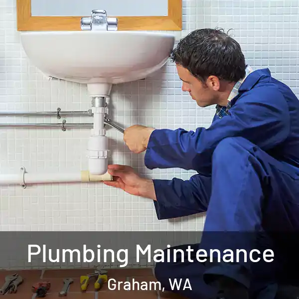 Plumbing Maintenance Graham, WA