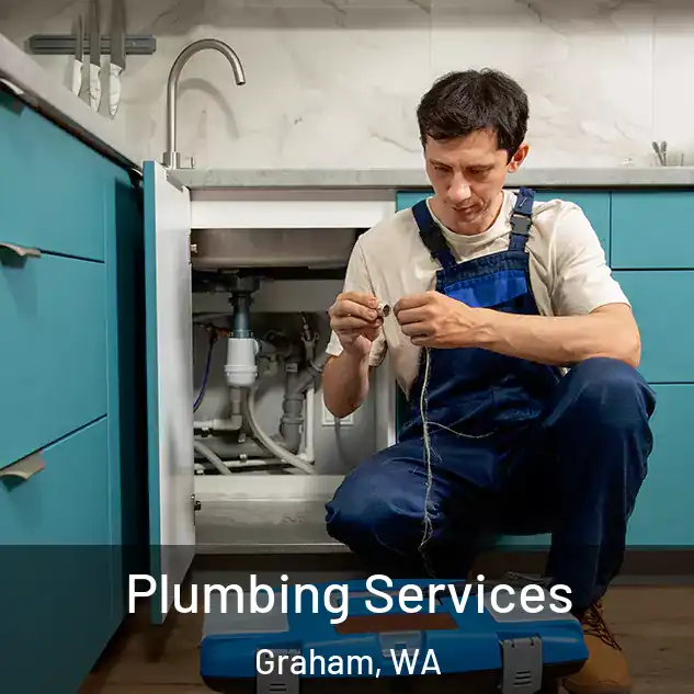  Plumbing Services Graham, WA