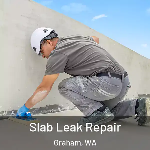  Slab Leak Repair Graham, WA