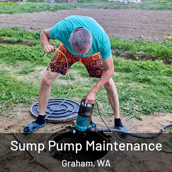  Sump Pump Maintenance Graham, WA