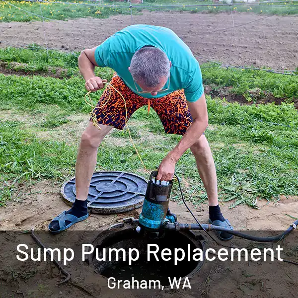  Sump Pump Replacement Graham, WA