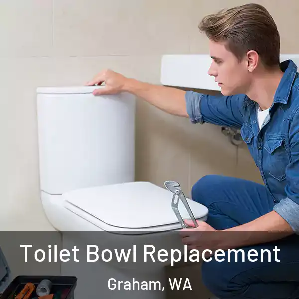  Toilet Bowl Replacement Graham, WA