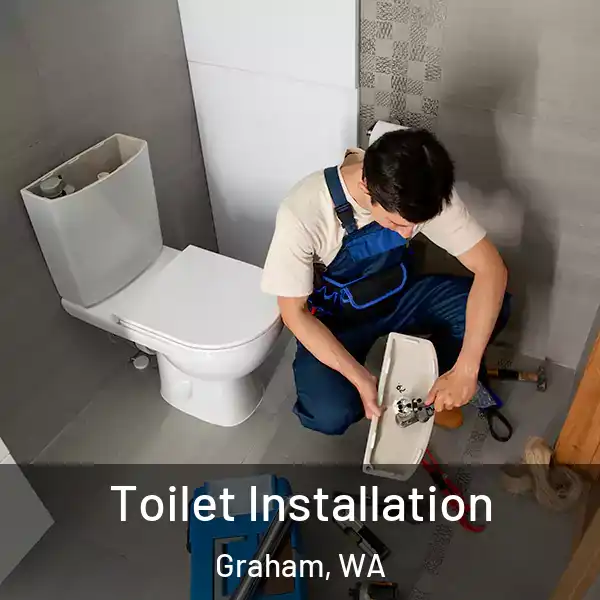  Toilet Installation Graham, WA