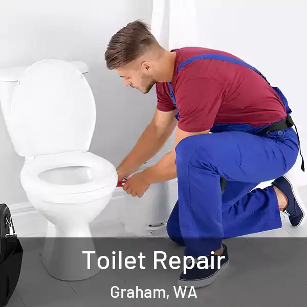  Toilet Repair Graham, WA