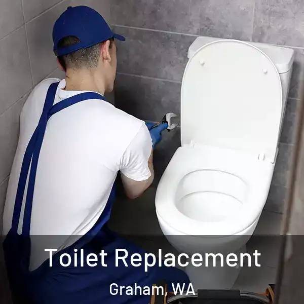  Toilet Replacement Graham, WA