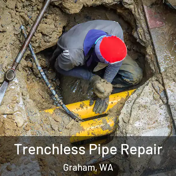  Trenchless Pipe Repair Graham, WA