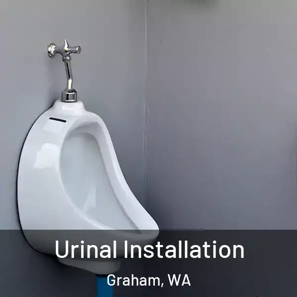  Urinal Installation Graham, WA