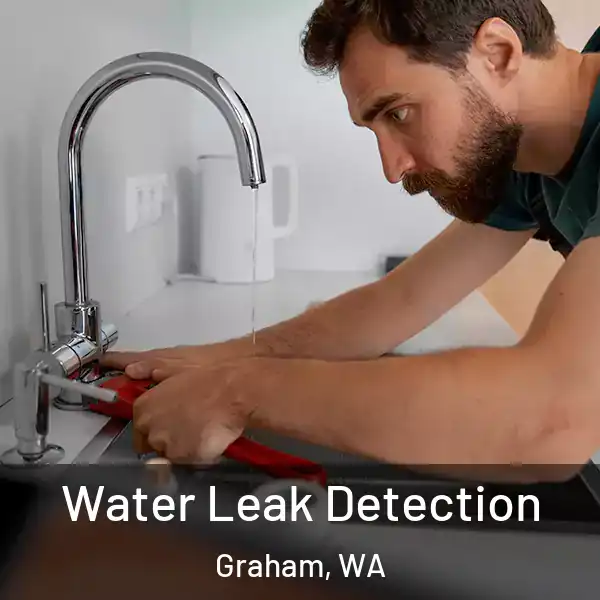  Water Leak Detection Graham, WA