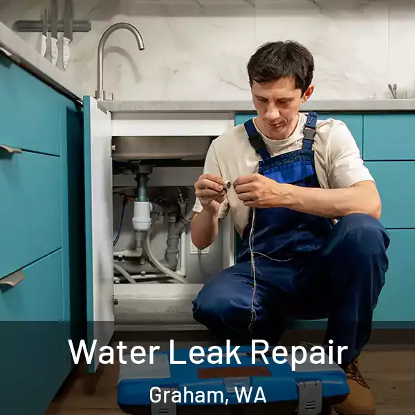  Water Leak Repair Graham, WA